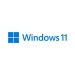 Windows 11 Pro, 64 Bit