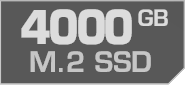 4000 GB M.2 SSD