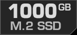 1000 GB M.2 SSD