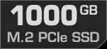 1000 GB M.2 PCIe SSD